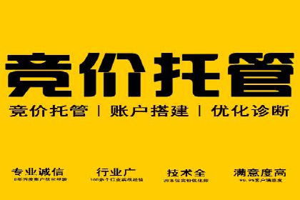 行业领先企业的sem代运营公司合作经验